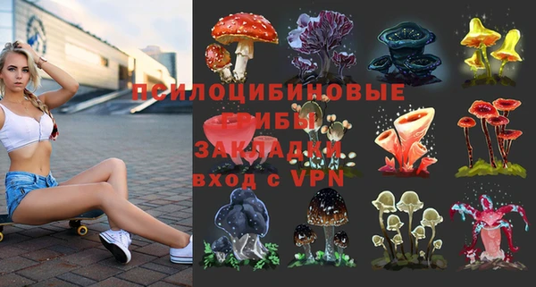2c-b Киреевск