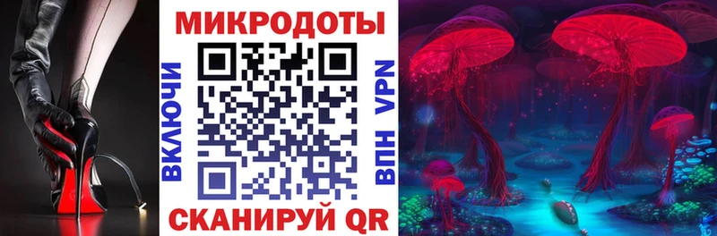 Псилоцибиновые грибы Psilocybe  Купить  Ливны 
