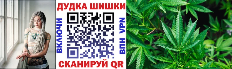 Купить закладки  Ливны  Канабис планчик 